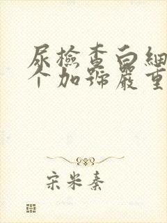 尿检查白细胞2个加号严重吗女性