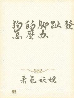 狗的脚趾发炎了怎么办