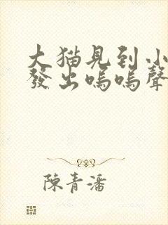 大猫见到小猫后发出呜呜声音