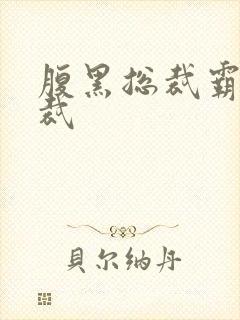 腹黑总裁霸道总裁