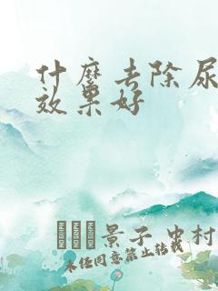 什么去除尿骚味效果好