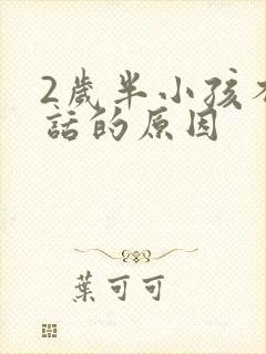 2岁半小孩不说话的原因