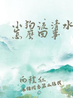 小狗流清水鼻涕怎么回事