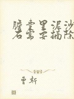 胆囊里泥沙型结石需要摘除吗