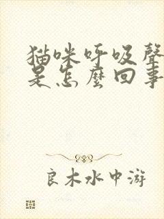 猫咪呼吸声很大是怎么回事