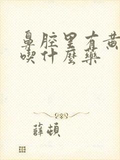 鼻腔里有黄鼻涕吃什么药