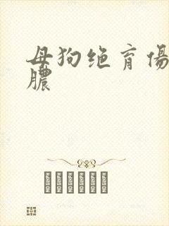 母狗绝育伤口流脓