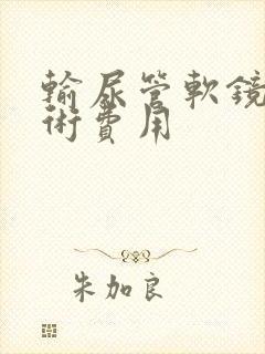 输尿管软镜排石术费用