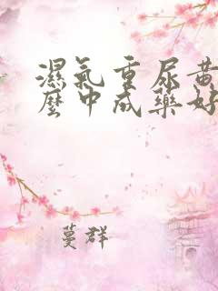 湿气重尿黄吃什么中成药好