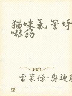 猫咪气管呼哧呼哧的