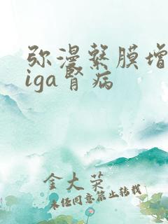 弥漫系膜增生性iga肾病