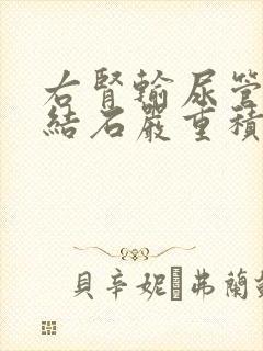 右肾输尿管上段结石严重积水怎么办