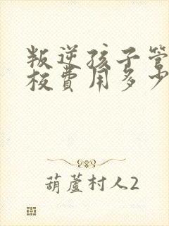 叛逆孩子管教学校费用多少