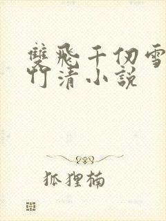 双飞千仞雪和朱竹清小说
