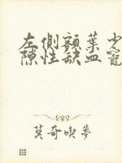 左侧额叶少许腔隙性缺血灶