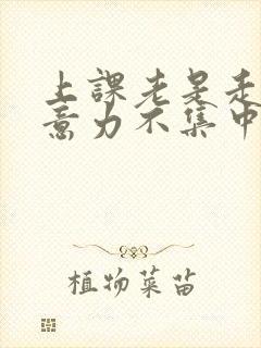 上课老是走神注意力不集中