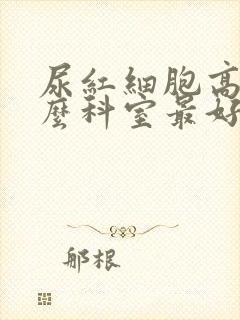 尿红细胞高看什么科室最好