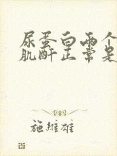 尿蛋白两个加号肌酐正常是怎么回事