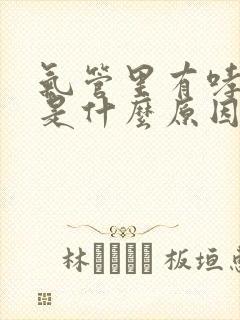 气管里有哮鸣音是什么原因