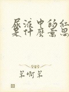 尿液中的红细胞是什么意思