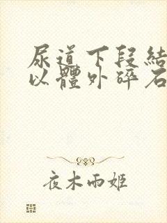 尿道下段结石可以体外碎石吗