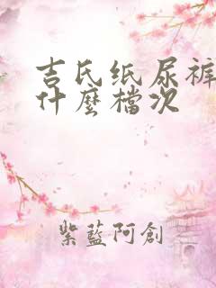 吉氏纸尿裤属于什么档次