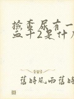 检查尿有一项隐血十2是什么意思?