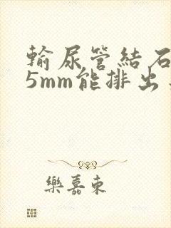 输尿管结石9*5mm能排出来吗