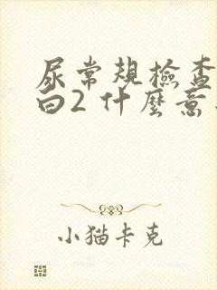 尿常规检查尿蛋白2 什么意思