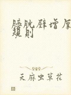 膀胱壁增厚且不规则