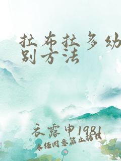 拉布拉多幼犬辨别方法