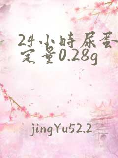 24小时尿蛋白定量0.28g