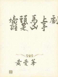 墙头马上剧本杀谁是凶手