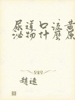 尿道口流黄色分泌物什么原因