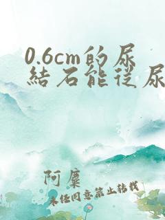 0.6cm的尿结石能从尿道排出来吗