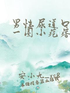 男性尿道口长了一圈小疙瘩