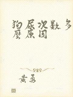 狗尿次数多是什么原因