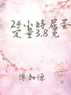 24小时尿蛋白定量3.8克