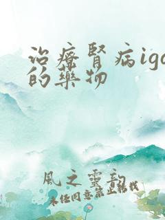 治疗肾病iga的药物