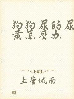 狗狗尿的尿特别黄怎么办