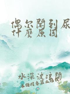 偶尔闻到尿骚味什么原因