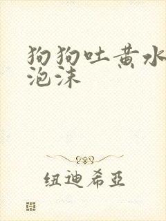 狗狗吐黄水带点泡沫