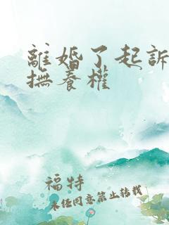 离婚了起诉孩子抚养权