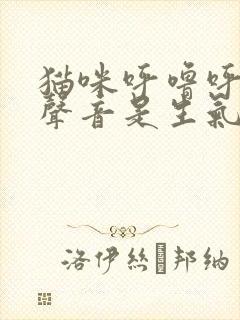 猫咪呼噜呼噜的声音是生气还是高兴