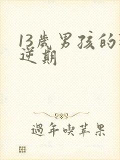 13岁男孩的叛逆期