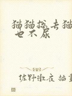 猫猫总去猫砂盆 也不尿