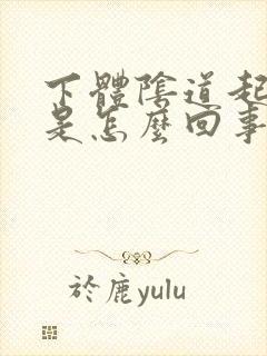 下体阴道起水泡是怎么回事