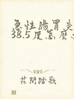 急性肠胃炎发烧38.5度怎么办