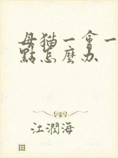 母猫一会一尿一点怎么办