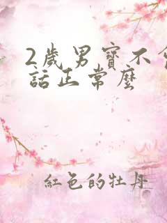 2岁男宝不会说话正常么